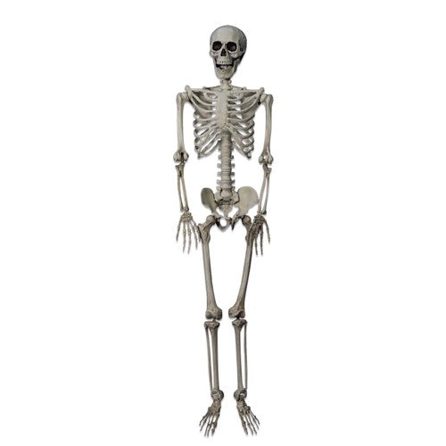 Beinagrind. 90 cm